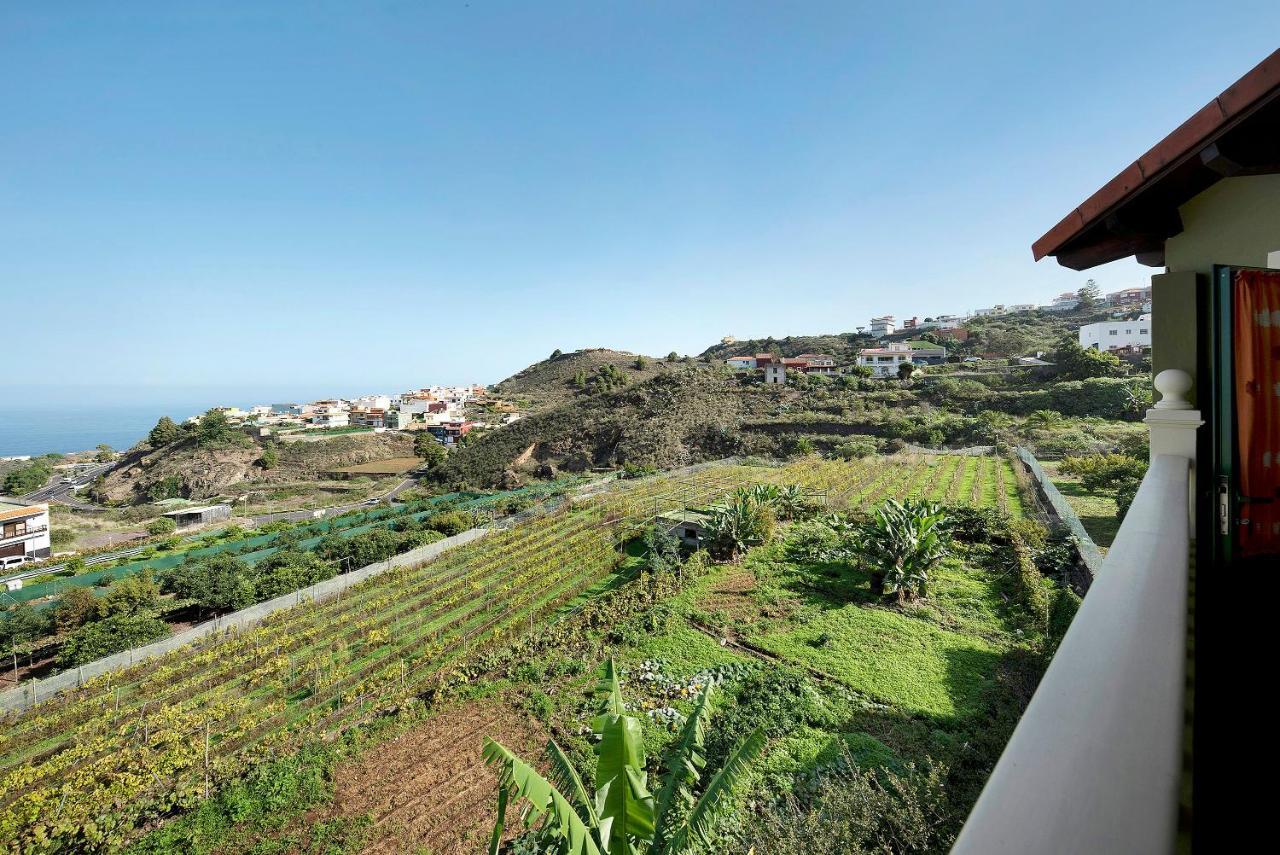 Apartamento Tily Icod De Los Vinos Exterior foto